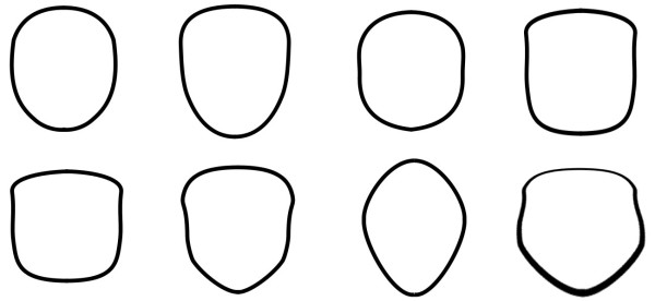 How to Determine Your Face Shape