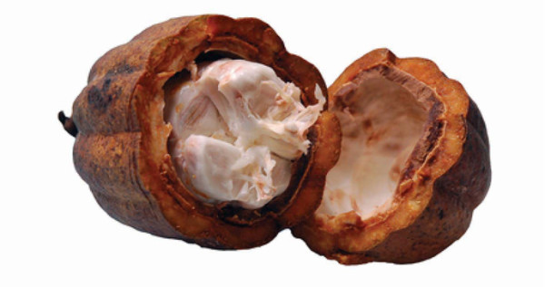 Is Cocoa Butter Good for Your Skin