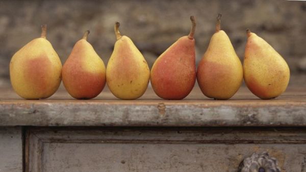 What are the health benefits of pears?