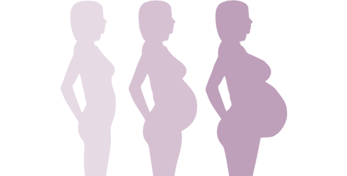 Pregnancy Trimesters