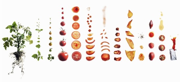 How many calories do you need a day
