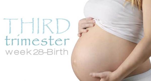 Third Trimester of Pregnancy
