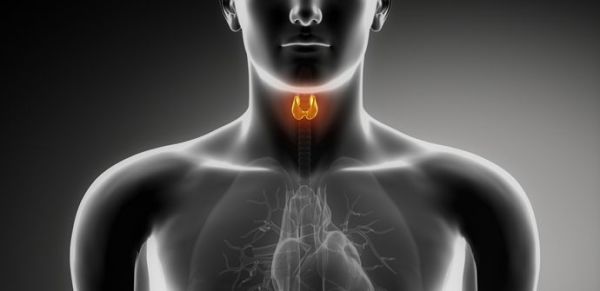 Natural Remedies for Hypothyroidism