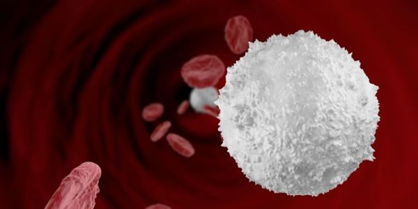 How to Increase White Blood Cell Count